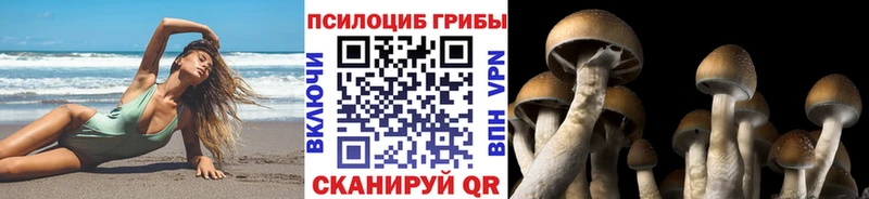Галлюциногенные грибы Magic Shrooms  Купить закладки  Липецк 